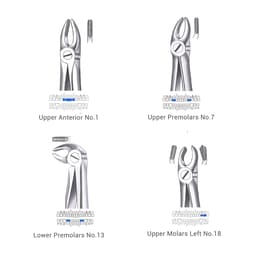 Waldent Extraction Forceps Kit Set of 12 (K1/1)      - 20