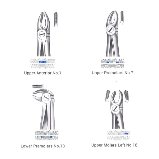 Waldent Extraction Forceps Kit Set of 12 (K1/1)