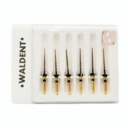 Waldent Premium Taper Gold Rotary Files - 21mm F4