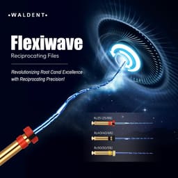 Waldent Flexiwave Reciprocating Files (21mm) - 12