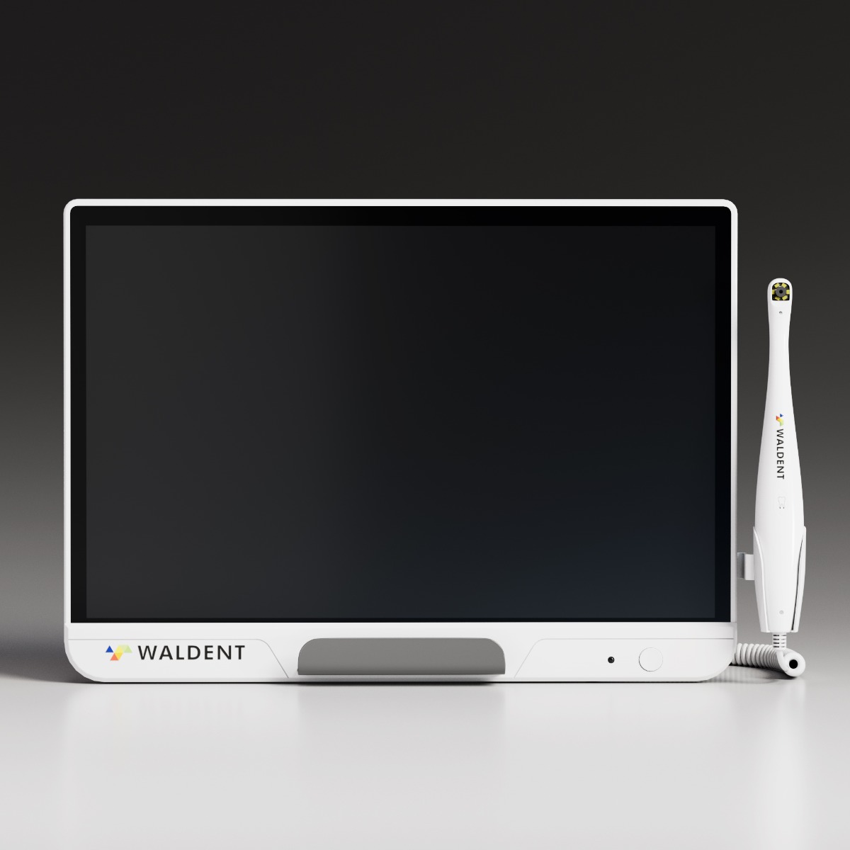Waldent ProView Intraoral Camera System