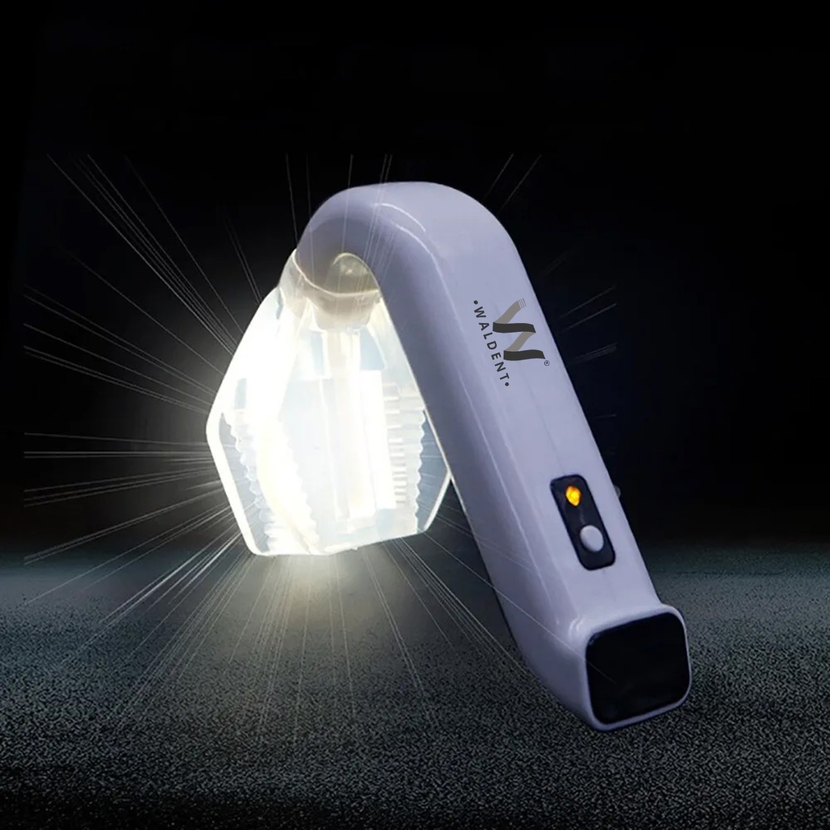 Waldent Maxbite Intraoral Lighting