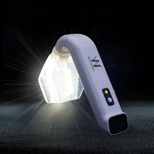 Waldent Maxbite Intraoral Lighting