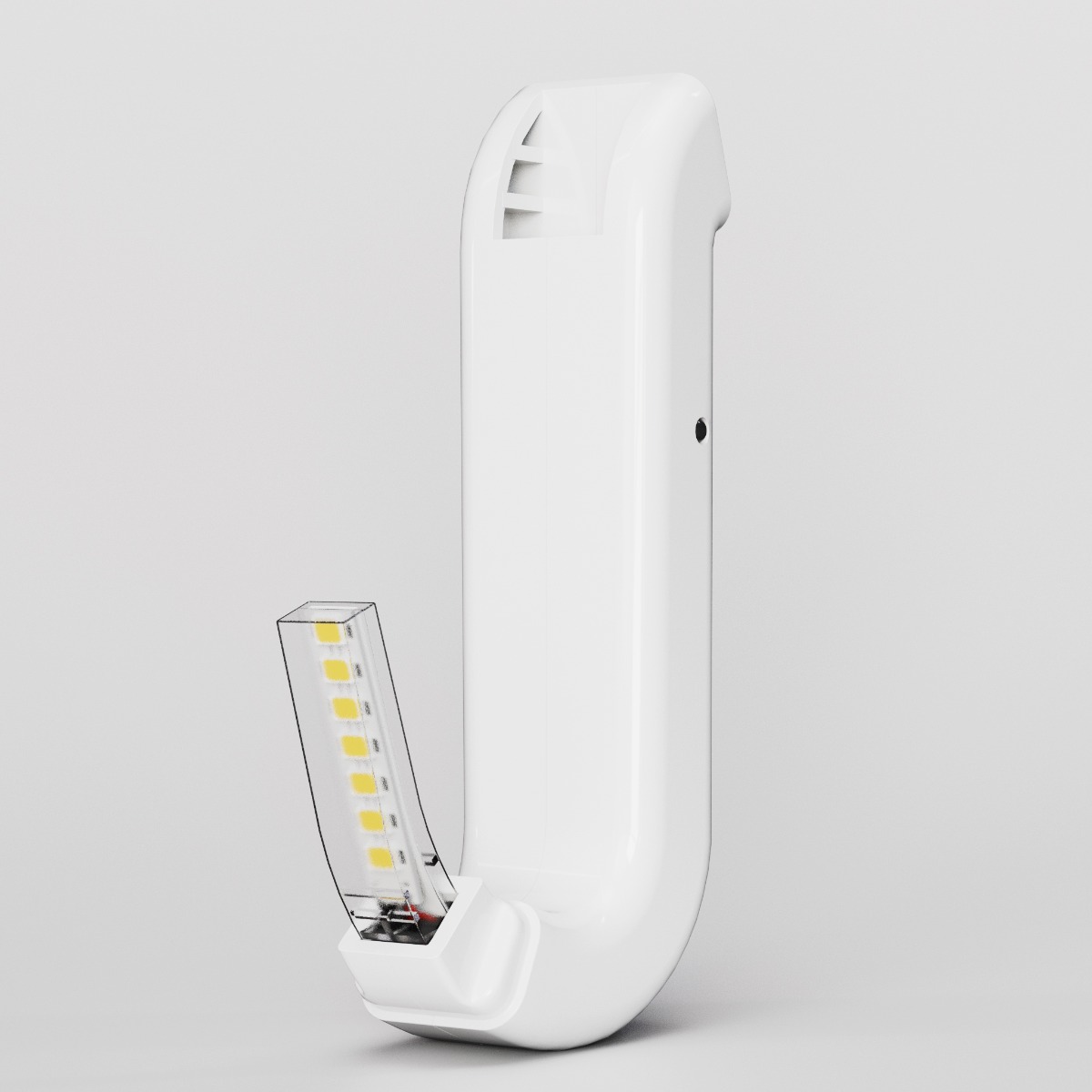 Waldent Maxbite Intraoral Lighting