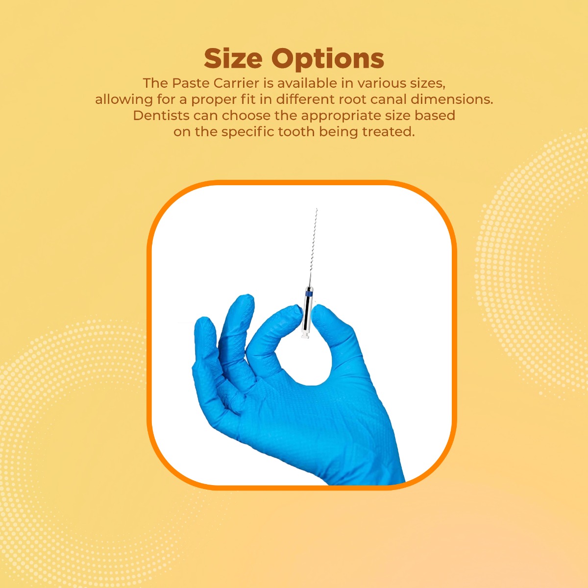 Waldent Paste Carrier (Lentulo Spiral) 25mm (Pack of 4)