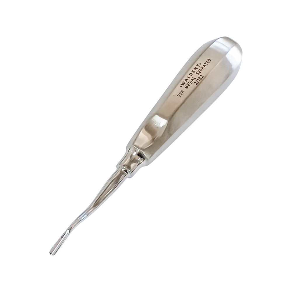 Waldent Root Elevator With Mesial Serrated Tip - 77R (2/132)