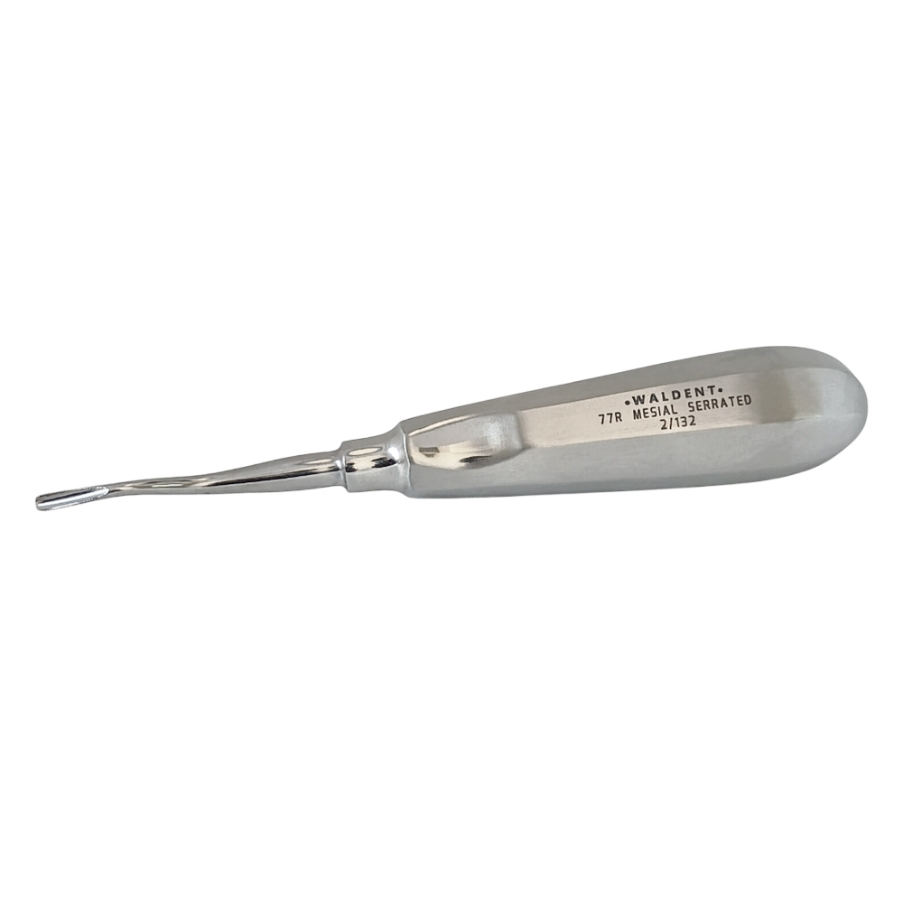 Waldent Root Elevator With Mesial Serrated Tip - 77R (2/132)