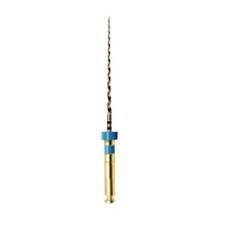 Waldent Wal-flex Gold Rotary Files 21mm - 13