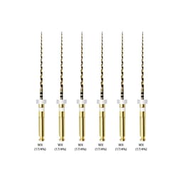 Waldent Wal-flex Gold Rotary Files 21mm - 16