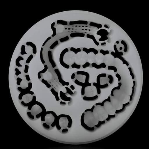 Maarc CAD-CAM Milling Wax Blanks (Open System Type) - White Color