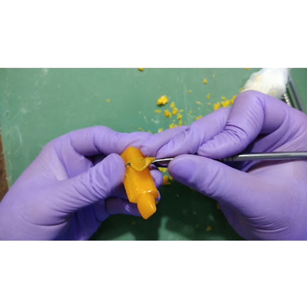 GDC Zahle Carver (WCZ2)