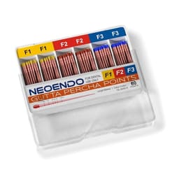 NeoEnd