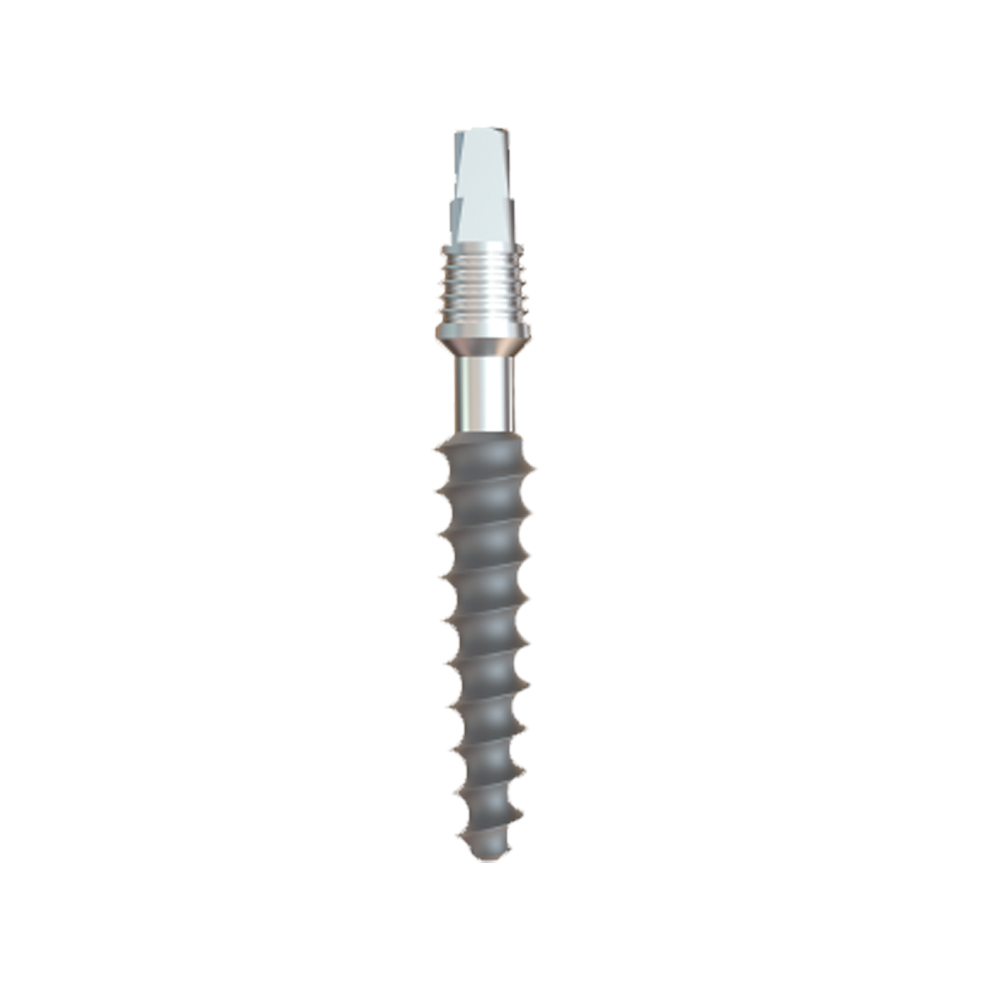 GS Implants Rough 3.2mm