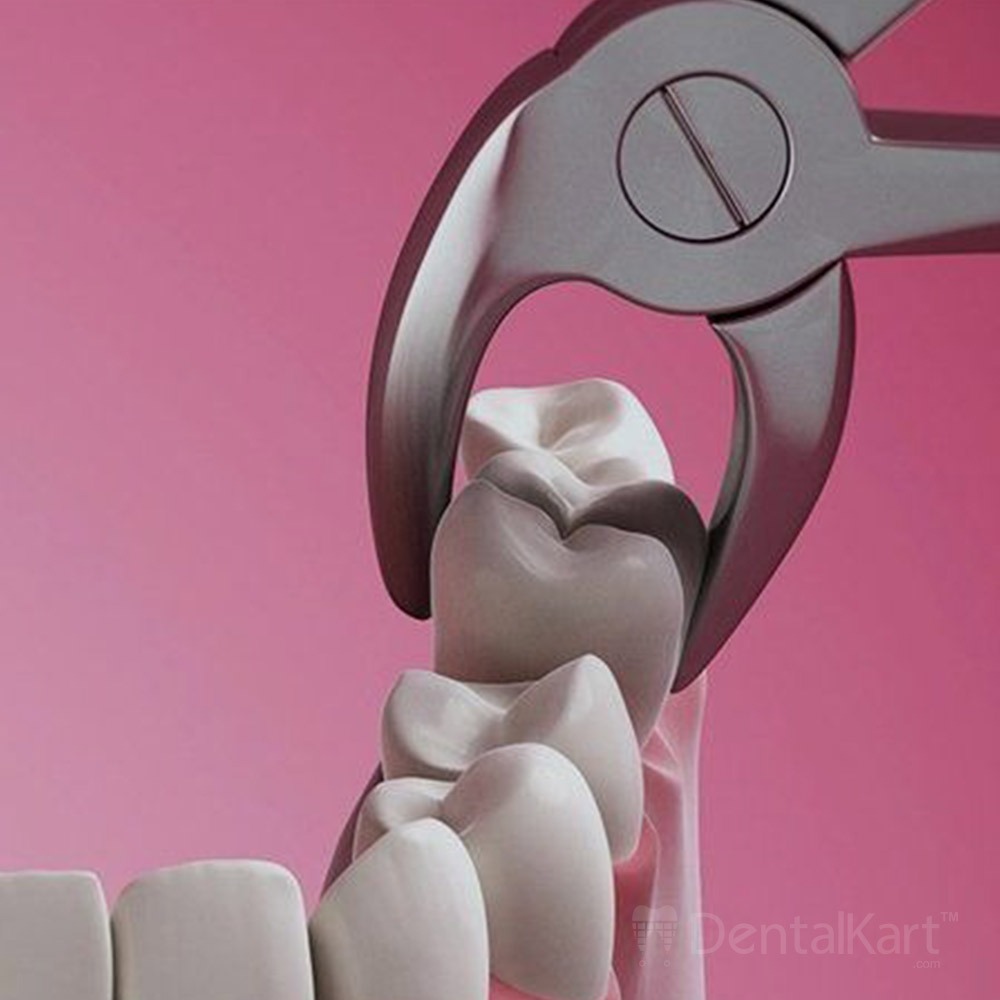 Waldent Tooth Extraction Forceps Lower Molars/Mandibulars, No.73 (1/110)