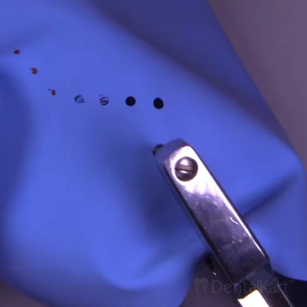 Waldent Rubber Dam Punch Forceps (16/136)