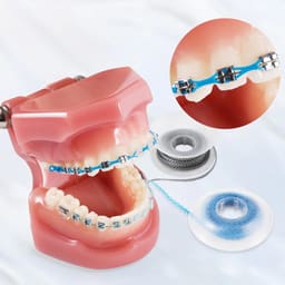 U Ortho E-Chain (15 ft) - 8