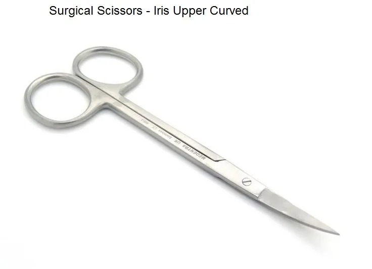 API Surgical Scissors - Gum Iris Upper Curved