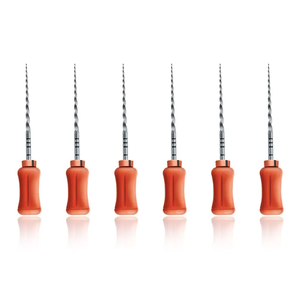 Dentsply Protaper Hand File 21mm F2