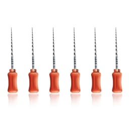 Dentsply Protaper Hand File 21mm F2