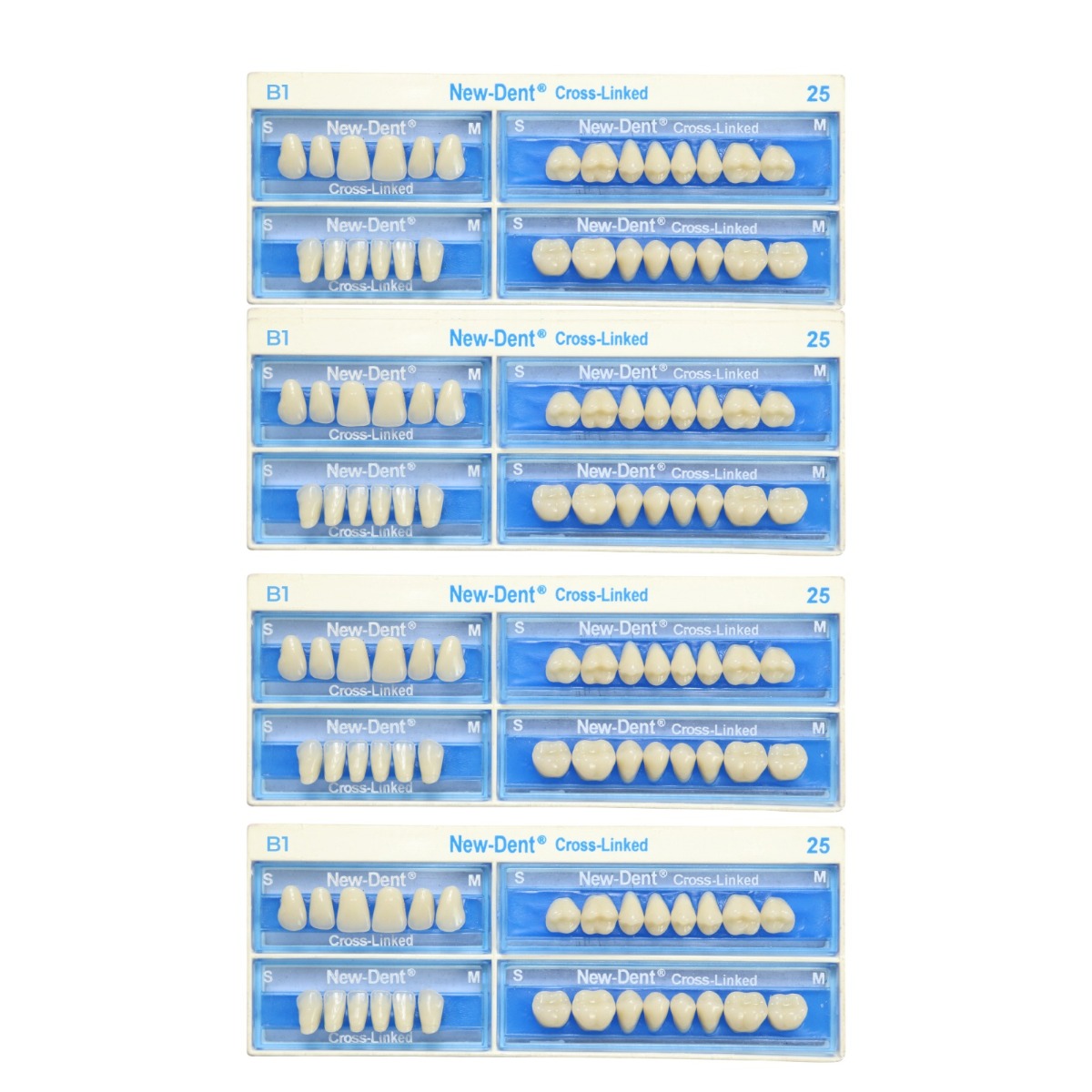 API Acrylic Teeth Sets - NewDent B1 (Pack of 4 Sets)