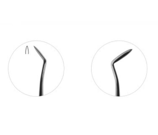 GI Dental Hollenback Carver