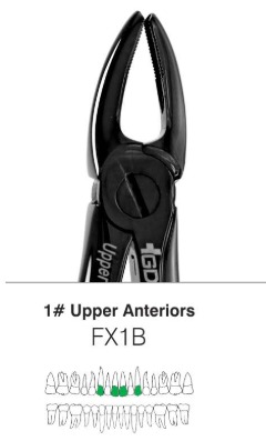 GDC Plasma Black Extraction Forcep Upper Anterior #1 FX1B