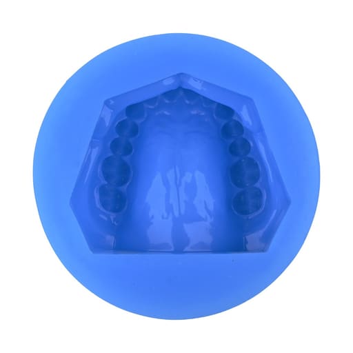 iDENTical Complete Dentulous Cast Moulds -Blue M8019