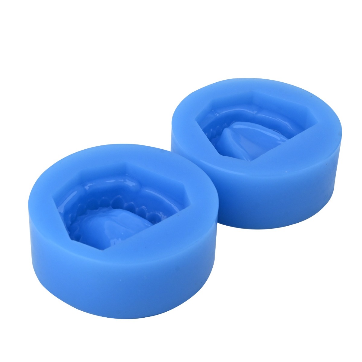 iDENTical Complete Dentulous Cast Moulds -Blue M8019