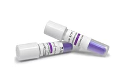 Bionova Biological Indicators For Sterilization - 3