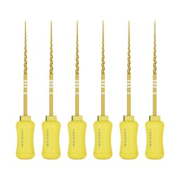 Waldent Progressive Taper Gold Hand Files 31mm - 4