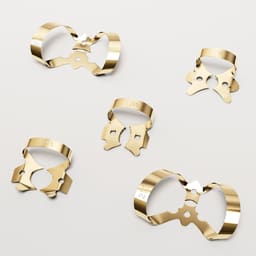 Waldent Rubber Dam Clamps Kit Titanium Gold (Set of 11) (K16/3) - 5