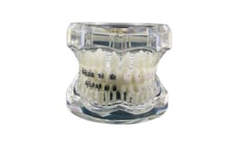iDENTical Half Metal and Half Ceramic Brackets Orthodontic Models M3003 - 15