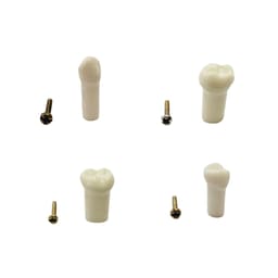 API Typodonts Individual -Pedo Size - 6