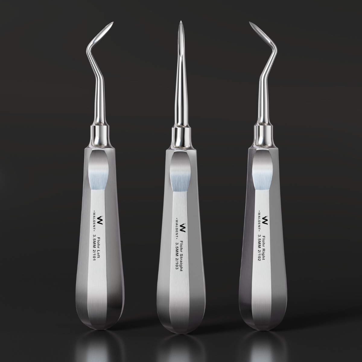 Waldent Flohr Root Elevators