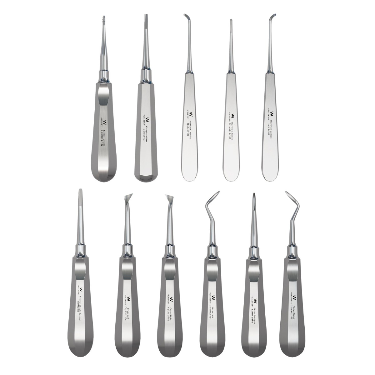 Waldent Root Elevator Instruments Kit Set of 11 K2/4