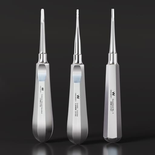 Waldent Root Elevator Instruments Kit Set of 11 K2/4