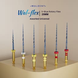 Waldent Wal-flex S- Blue Rotary Files 25mm - 14