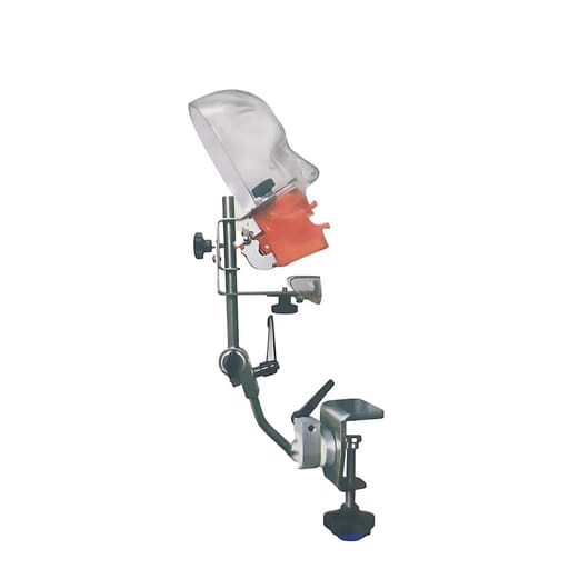 iDENTical Table Mount Portable Dental Manikin (M1003-3)