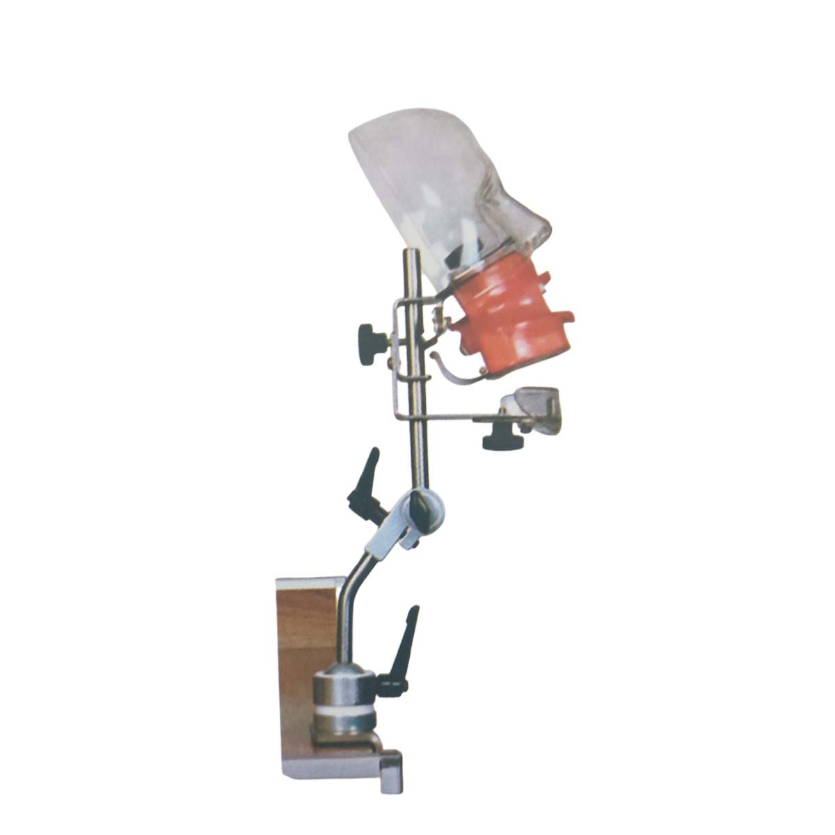 iDENTical Table Mount Portable Dental Manikin (M1003-3)