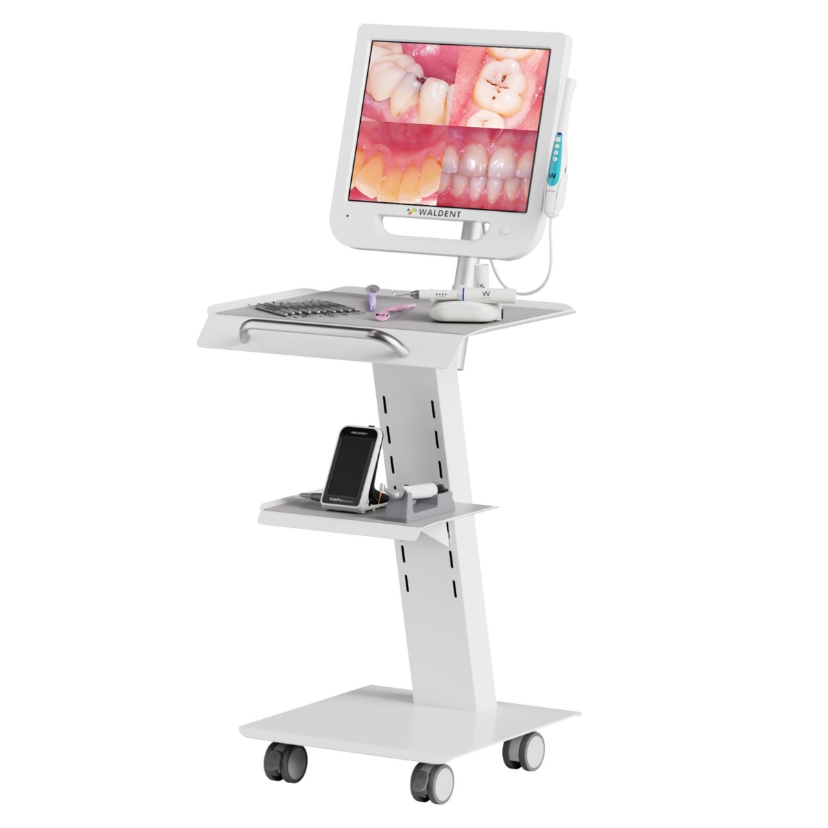 Waldent Heavy-Duty Dental Utility Trolley For Intraoral Camera