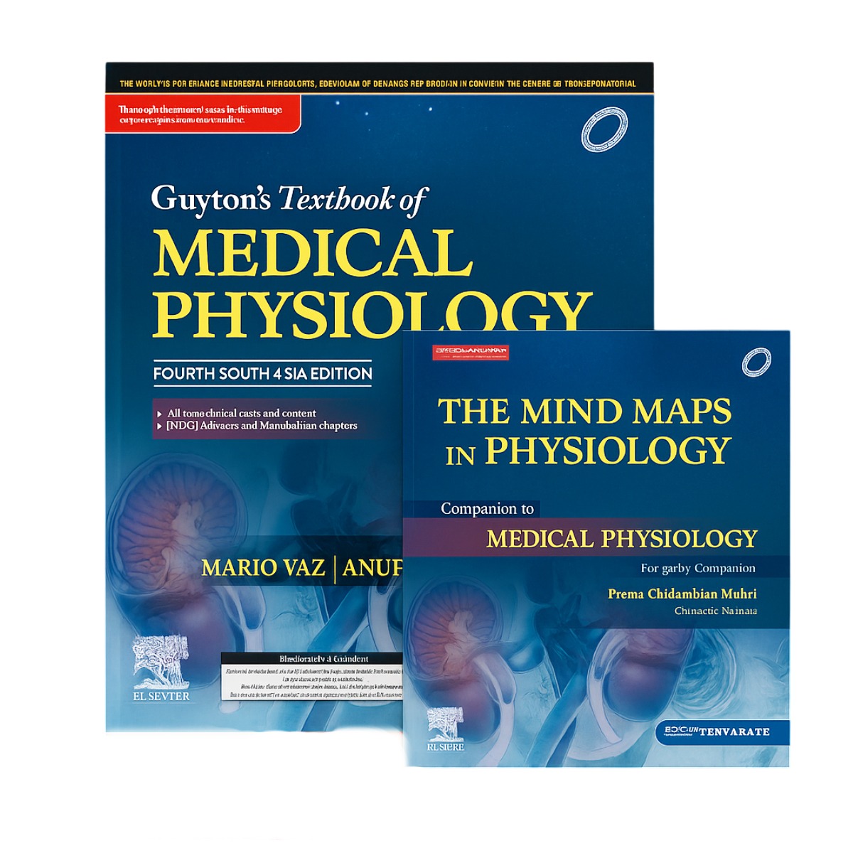 Guyton And Hall Textbook Of Medical Physiology 4th South Asia Edition (ISBN - 270639)