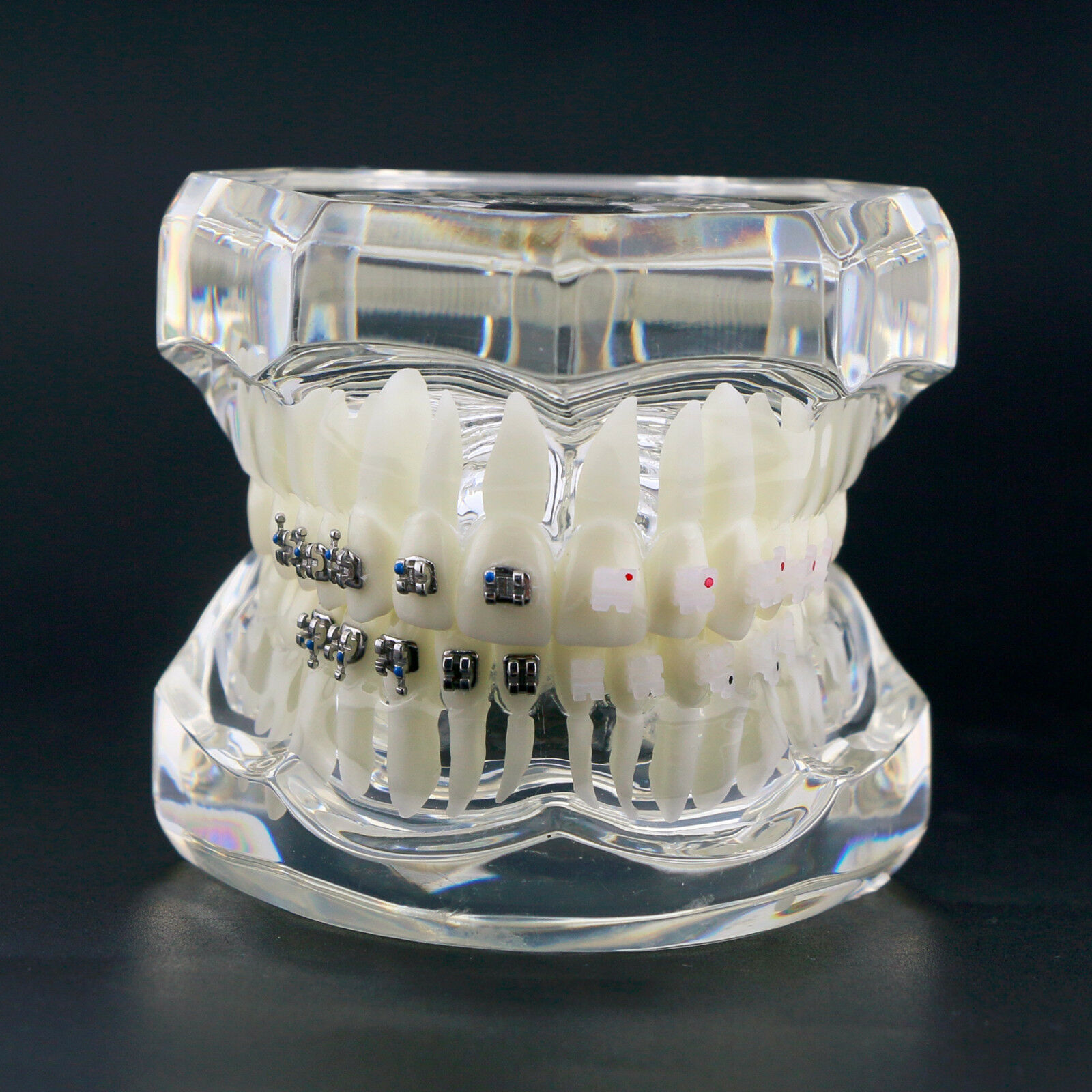 iDENTical Half Metal and Half Ceramic Brackets Orthodontic Models M3003