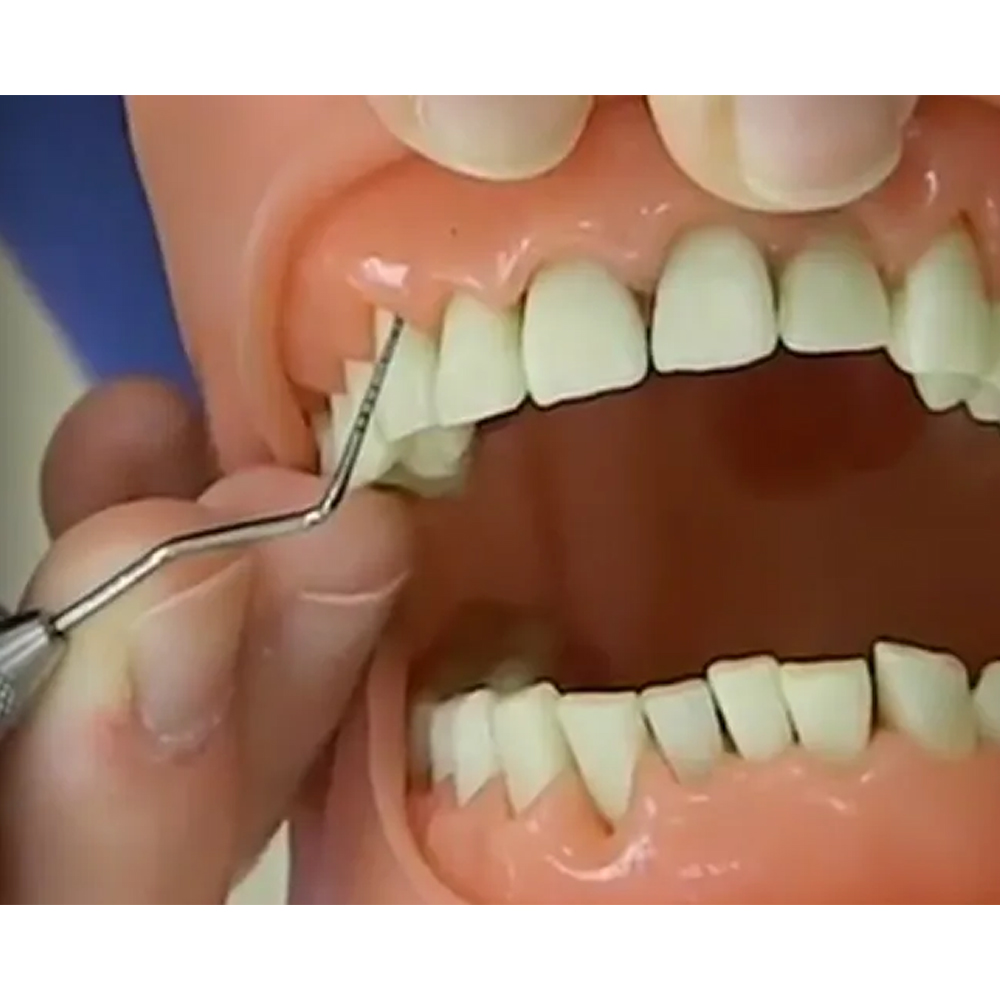 GDC Explorer With William Probe # 6 (EXP23/QW6)