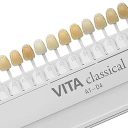 Vita Classical Shade Guide - 4