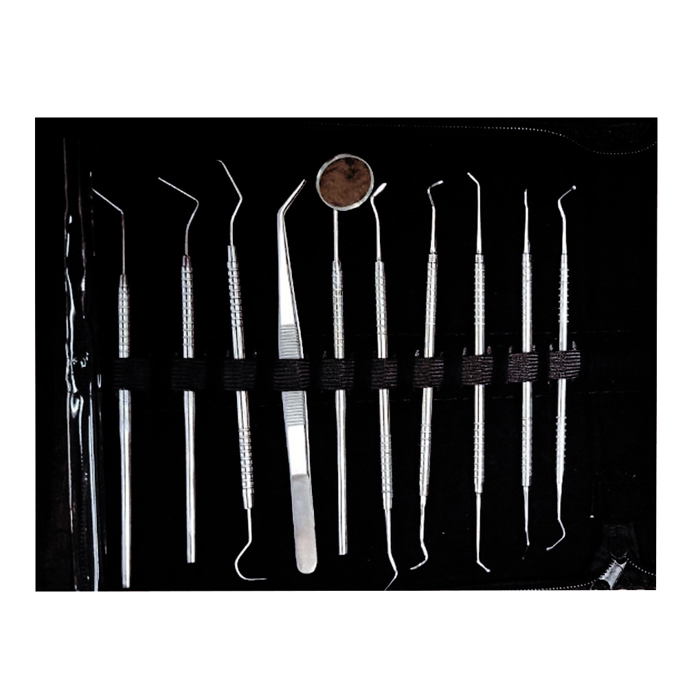 Dr. Steve Conservative Instrument Kit (Set of 20)