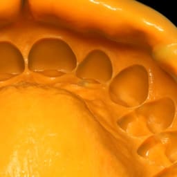 Zhermack Zetaplus Putty Impression Material - 7