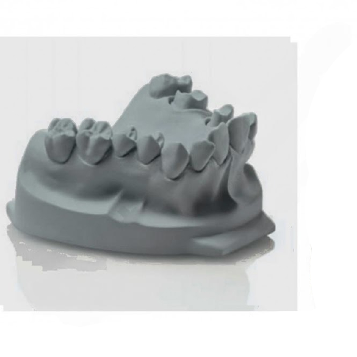 Zhermack Elite Rock (C410010)