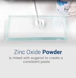 Waldent Zinc Oxide Powder - 8