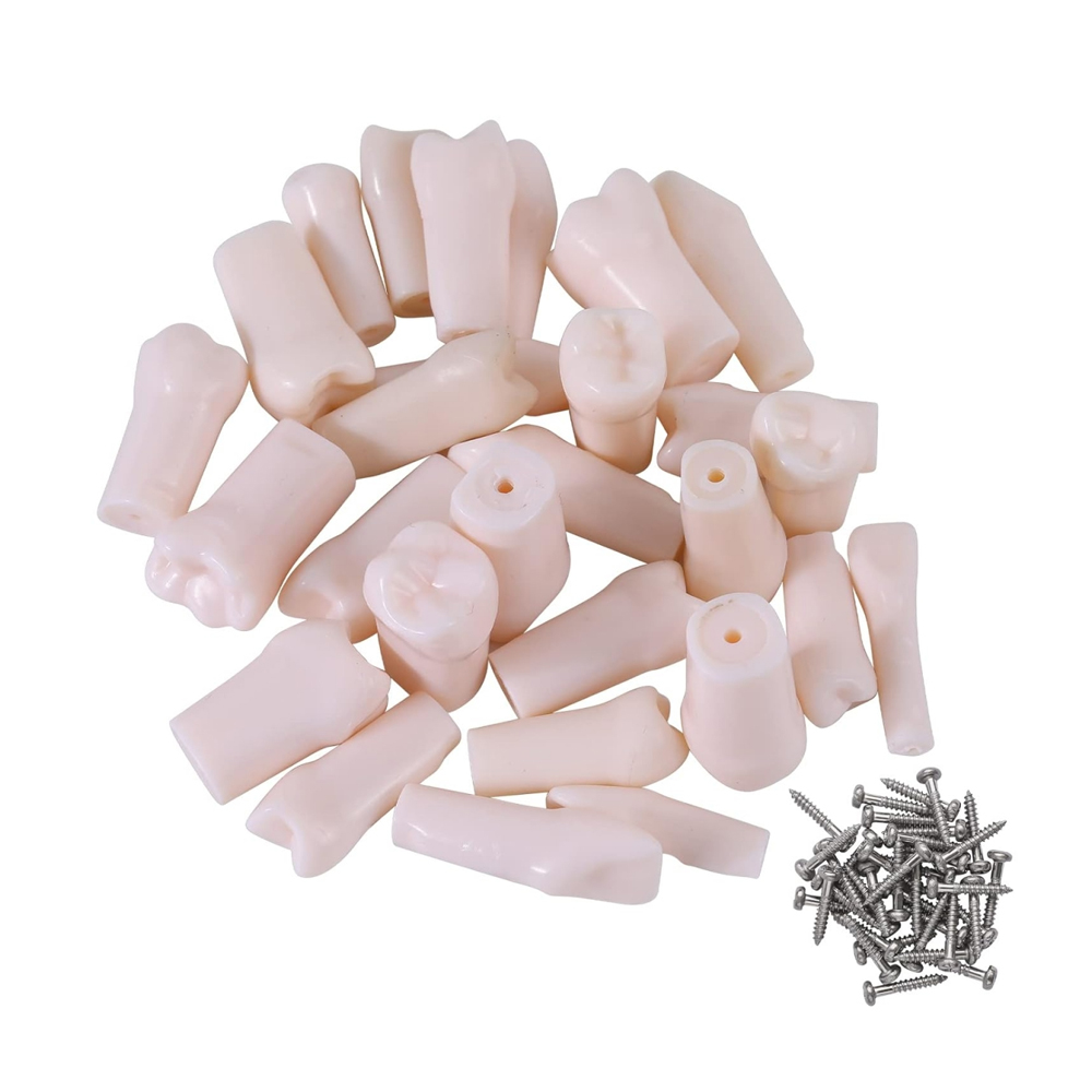 Tooth Retuch Dental Denture Teeth Sets: Vita, Ruthinium & More | Dentalkart